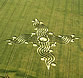 Crop circle in Wiltshire UK